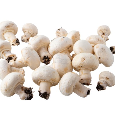 Шампиньоны свежие 500 г - купить в Краснополье